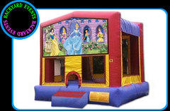 Disney Princess $337.00 DISCOUNTED PRICE Disney Princess $337.00 DISCOUNTED PRICE